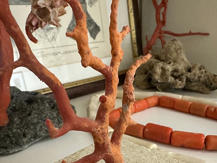 L&rsquo;affascinante storia del corallo di Sciacca in una mostra nella Citt&agrave; dei templi 