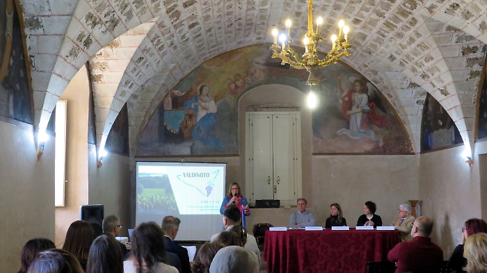 Il Valdinoto si unisce in Consorzio per il vino e si proietta verso un'unica DOC