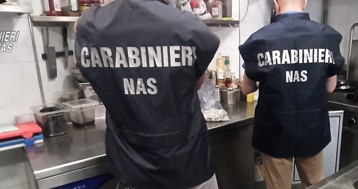 Refezione sospesa a Palermo: blatte, sporco e multa da 11mila euro per centro per disabili