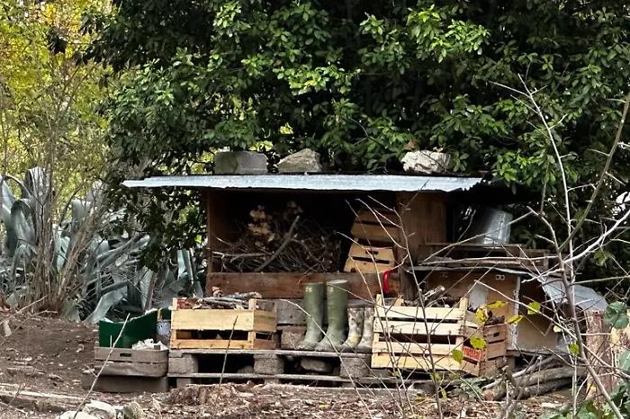 Famiglia nel bosco, &egrave; arrivata la decisione del Tribunale per i Minorenni dell'Aquila
