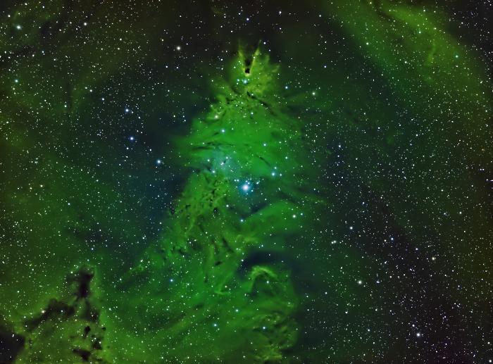L&rsquo;albero di Natale pi&ugrave; lontano che vedrai oggi: viaggio dentro NGC 2264, tra stelle neonate, coni di polvere e &ldquo;volpi&rdquo; di gas