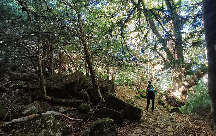 Sicilia a piedi, lungo le antiche &ldquo;trazzere&rdquo;: guida ai cammini 2025 tra mappe GPX, borghi e paesaggi che restano