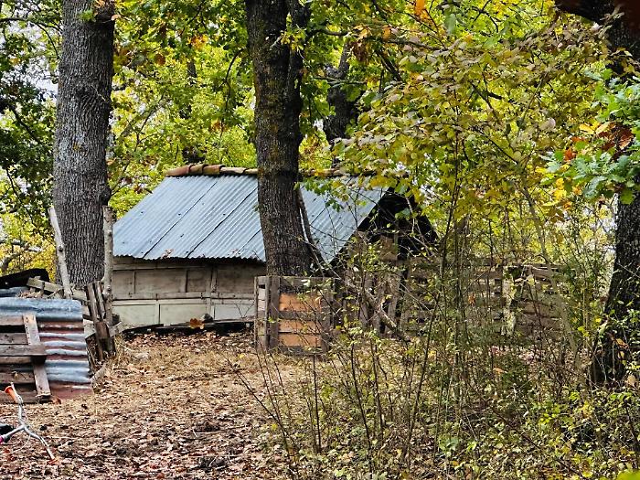 Famiglia nel bosco, perch&eacute; la madre rischia l'allontanamento dalla struttura dove sono stati portati i tre bambini 