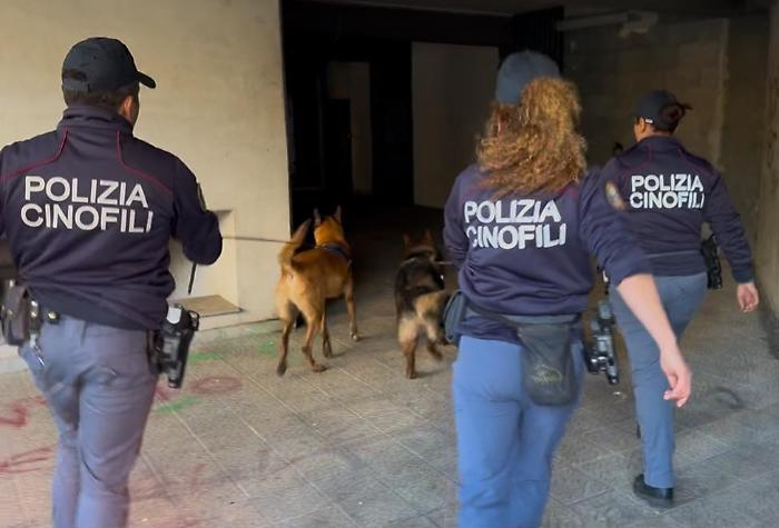 Sequestrati a San Cristoforo 1,5 kg di marijuana in auto e nell'area comune di un condominio