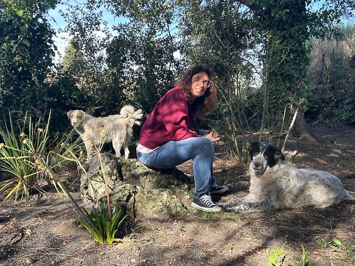 A Milo nasce "dal basso" il regolamento per combattere il randagismo