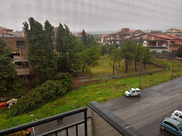 Adrano, albero cade in via Pasquale Neri: sfiorata la tragedia vicino alle scuole