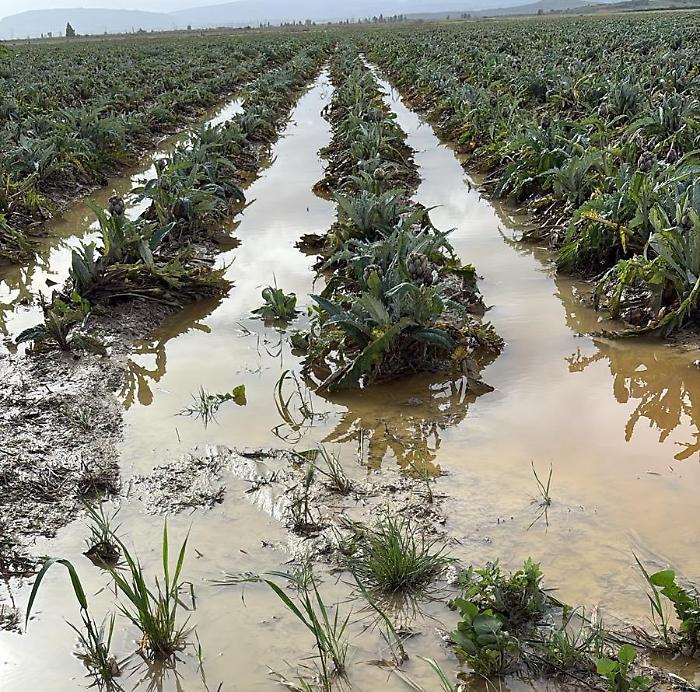 Piana di Catania. Esondazioni e raccolti perduti dopo il ciclone