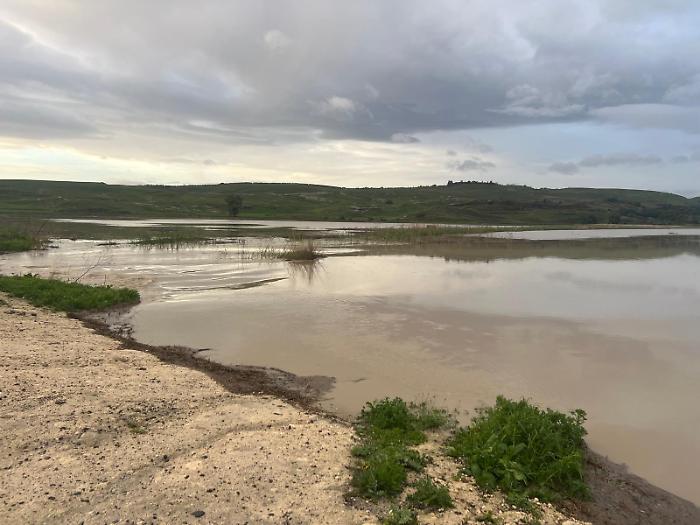Campi di sementi allagati alla Piana di Catania