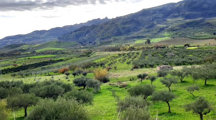 Diga Valentino, l&rsquo;ultima scommessa sull&rsquo;acqua in Sicilia: progetto, dubbi e numeri di un&rsquo;emergenza che non passa