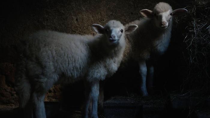 &laquo;Agnus Dei&raquo;, il film del regista italiano Massimiliano Camaiti nella selezione ufficiale del festival francesce Fipadoc