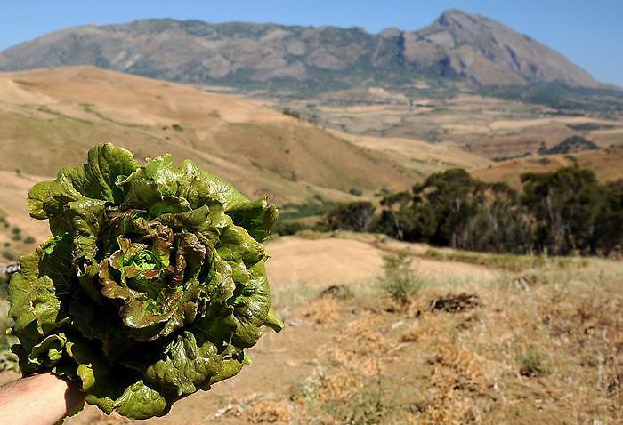 Un&rsquo;isola nell&rsquo;isola: alla scoperta dei borghi senza tempo dei Sicani con tre narratori d'eccezione