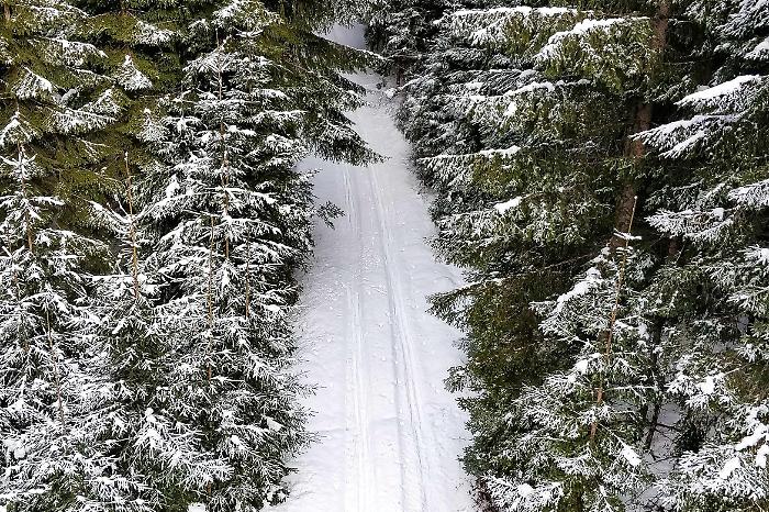 Etna e parcheggi sommersi dalla neve, Barbagallo attacca Trantino: &laquo;Figuraccia internazionale&raquo;
