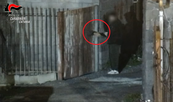 Vuoto Sangani riempito dal crack: "Game Over" per i nuovi capi dello spaccio a Randazzo