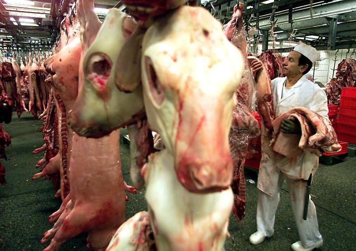 Mucca pazza ad Arezzo? No, &egrave; una malattia rara: perch&eacute; il caso non riguarda la carne nel piatto