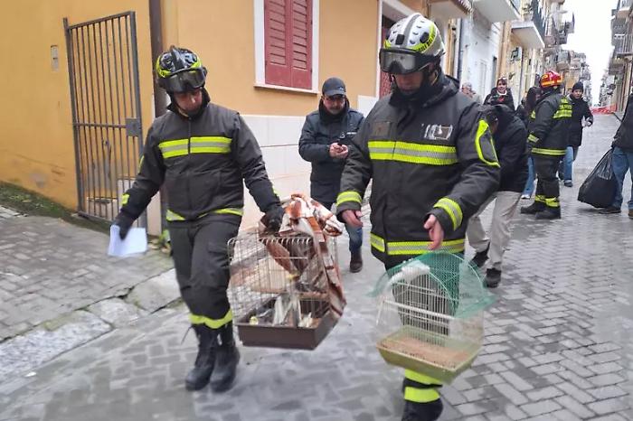 Niscemi, le lacrime di Pino e Rita per il recupero dei pappagalli e di affetti personali