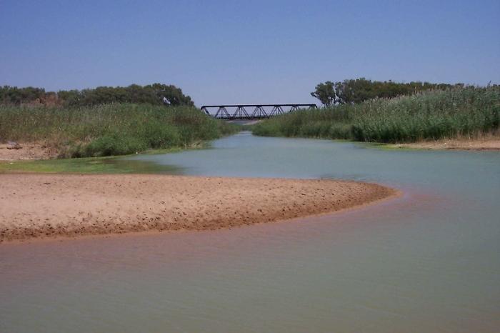 L&rsquo;acqua del Belice finisce in mare mentre le campagne muoiono: la rabbia degli agricoltori per lo spreco infinito