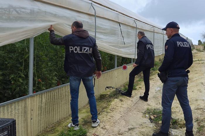 Pachino, truffa con azienda agricola fittizia: 35 indagati