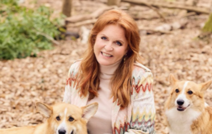 File Epstein, mail dell'ex duchessa Sarah Ferguson al faccendiere in carcere: chiude la sua charity