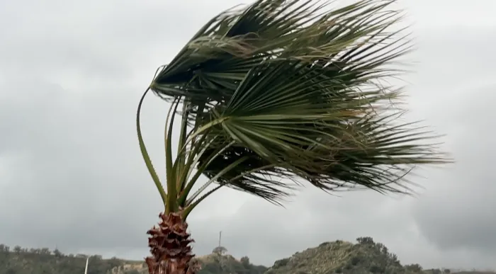 Allerta meteo arancione a Messina: chiuse ville e cimiteri e stop agli eventi all&rsquo;aperto. Scuole aperte