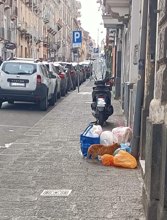 Catania: rifiuti in via Garibaldi