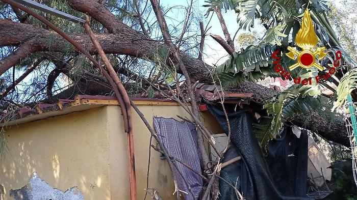 Catania, il vento abbatte alberi e cartelloni: oltre 250 interventi. Barbagallo: &laquo;Regioni dichiari nuovo stato di calamit&agrave;&raquo;