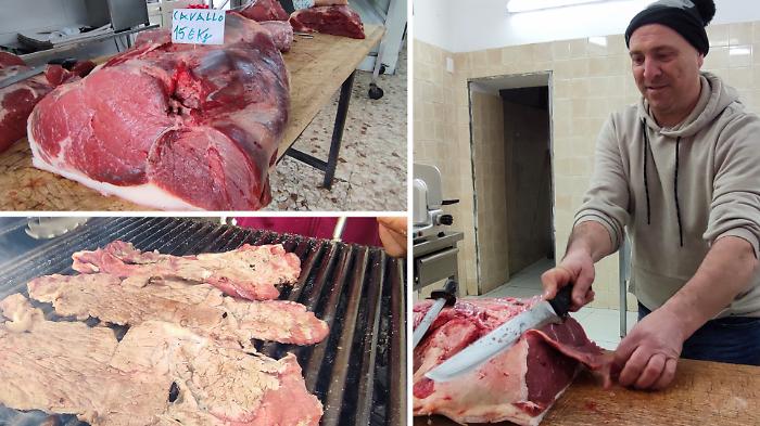 Cavalli animali d&rsquo;affezione, addio alla carne? La proposta di legge "allarma" Catania