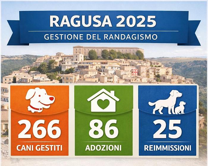 Gestione del randagismo, Ragusa compie passi avanti