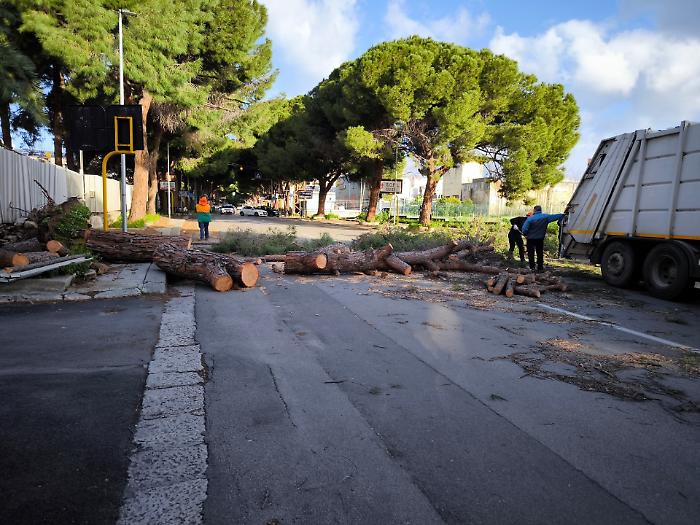 Palermo sferzata dalle raffiche di vento: alberi abbattuti, tetti scoperchiati e cartelloni divelti in tutta la citt&agrave; e provincia