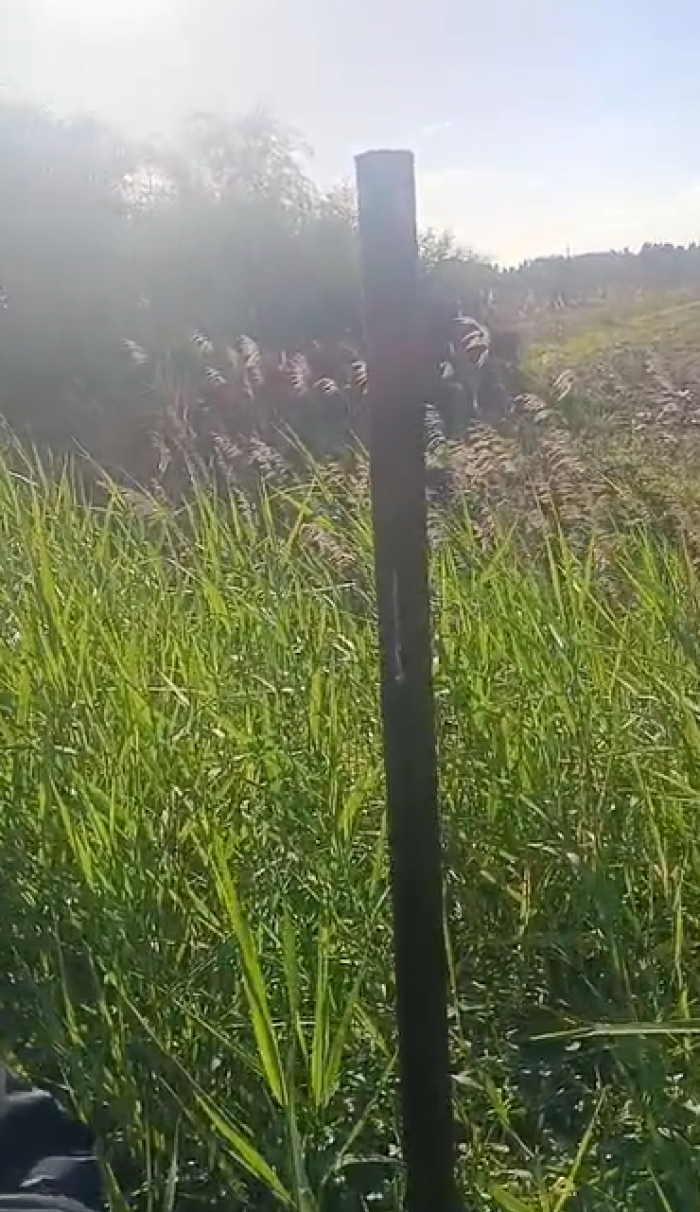 SP212 Vaccarizzo fermata Amts senza cartello