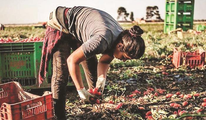 Ragusa, i racconti delle nuove schiave romene. Sono le donne della fascia trasformata