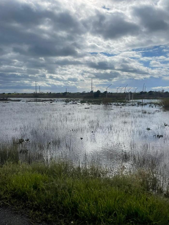 Primosole Beach in ginocchio, residenti esasperati chiedono di togliete fango e detriti: "Vogliamo tornare a casa"