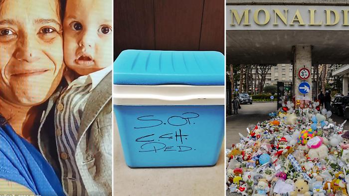 &ldquo;Un cuore in un frigo da picnic&rdquo;: la storia di Domenico e le crepe del sistema tra Napoli e Bolzano