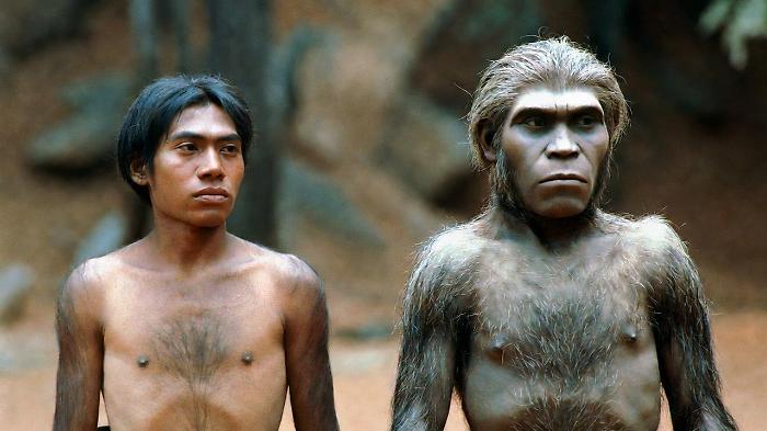 Perch&eacute; i Neanderthal e i Sapiens si accoppiarono: il mistero che riscrive la storia del nostro DNA