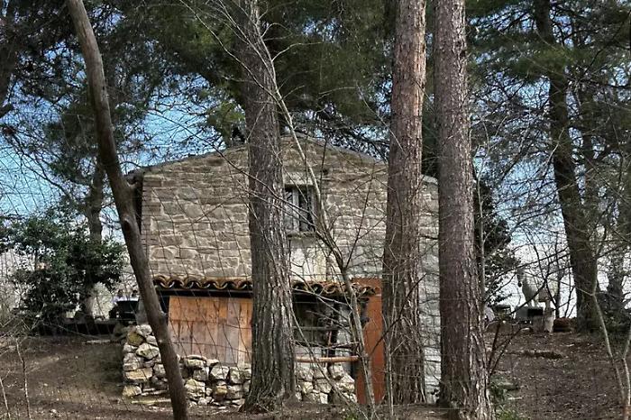 Il ddl del centrodestra sugli allontanamenti dei minori: cosa prevede