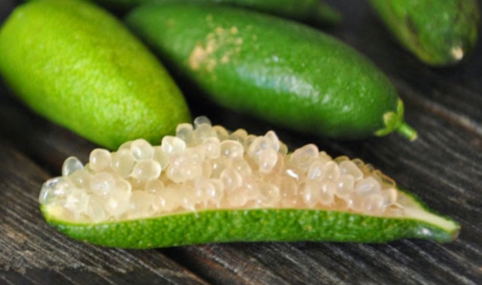 Finger lime,  il limone che sembra caviale