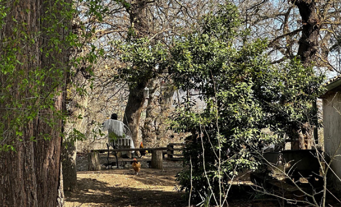 Famiglia nel bosco, nuovo scontro tra la Garante dell'Infanzia e i servizi sociali