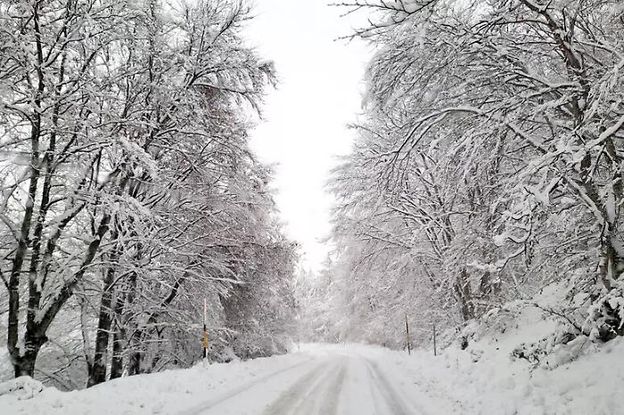 L'inverno stenta ad andar via: perturbazione in arrivo dal nord-est con piogge intense e neve in alta collina