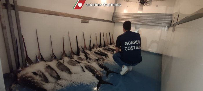 Stretta sul pesce illegale in Sicilia orientale, maxi blitz in mare e a terra: sequestri e multe