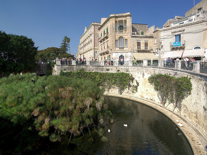 Siracusa, a rischio la sopravvivenza degli antichi papiri della Fonte Aretusa