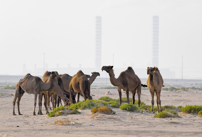 Golfo in fiamme: l'Iran colpisce le raffinerie in Kuwait. Trump minaccia la distruzione di South Pars