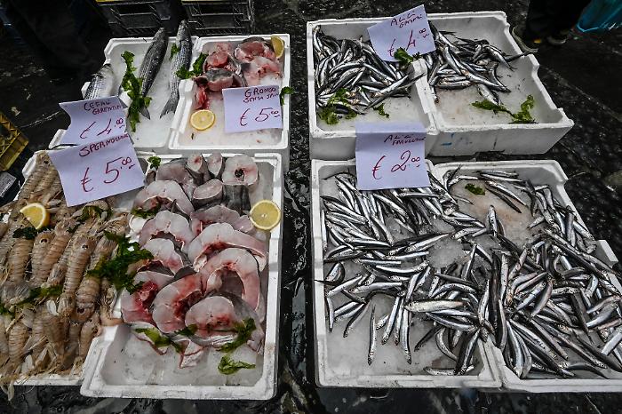 Epatite A a Napoli, tre nuovi casi al Cotugno: ricoverati 53 pazienti