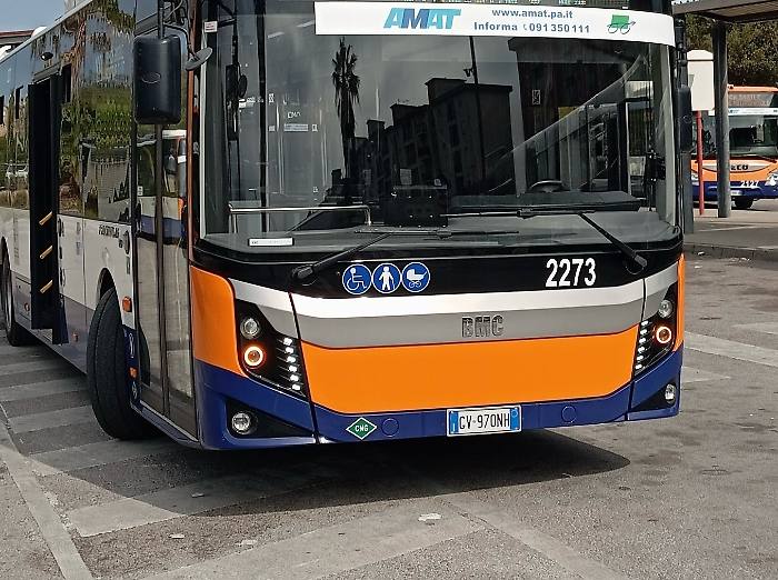 Ai seggi 123 autisti: caos Amat fino a gioved&igrave;