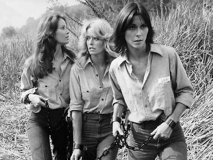 Le Charlie's Angels 50 anni dopo. Pronta la reunion