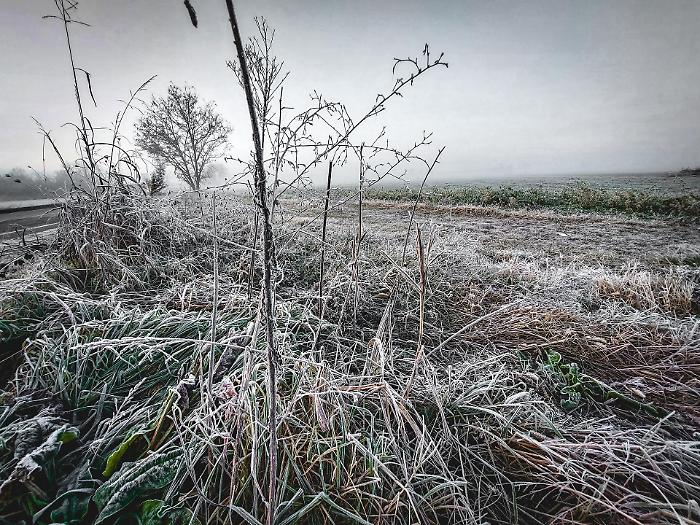 Ribaltone termico sull'Italia, arriva (pure al sud) il gelo artico: le previsioni per i prossimi giorni