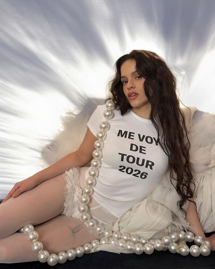 Paura per Rosalia al Forum di Assago:  "Mi dispiace mi devo fermare"