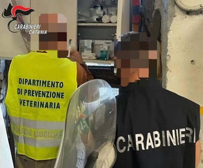 Salvati due cani da condizioni di maltrattamento: denunciato l'anziano proprietario