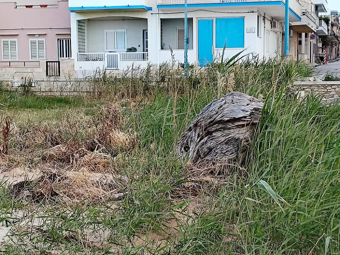 Donnalucata, protestano i residenti: "Altro che spiagge pulite, qui &egrave; un disastro"