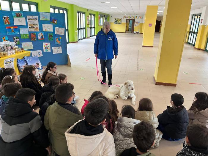 Ragusa, cos&igrave; la citt&agrave; si prende cura dei canili