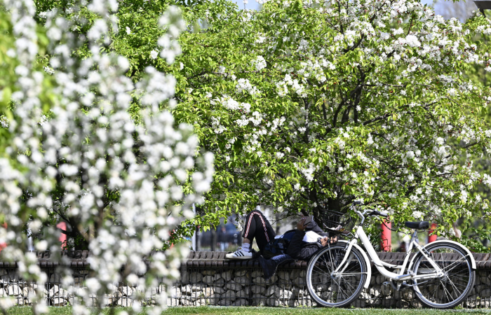 "Ribaltone" meteo per Pasqua e Pasquetta: sar&agrave; finalmente Primavera?