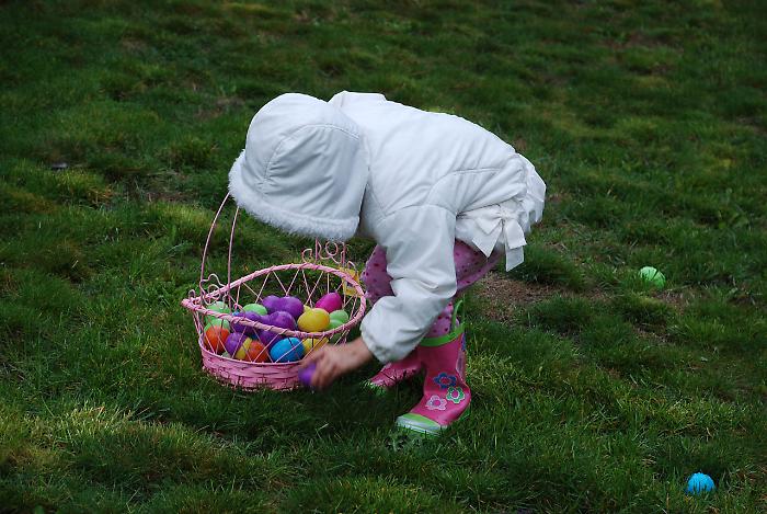 Germania, Pasqua spezzata nel bosco: il vento abbatte un albero su una caccia alle uova, tre morti tra cui una bimba di 10 mesi